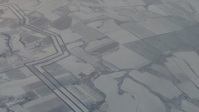 Photo of Экстравагантные линии и формы