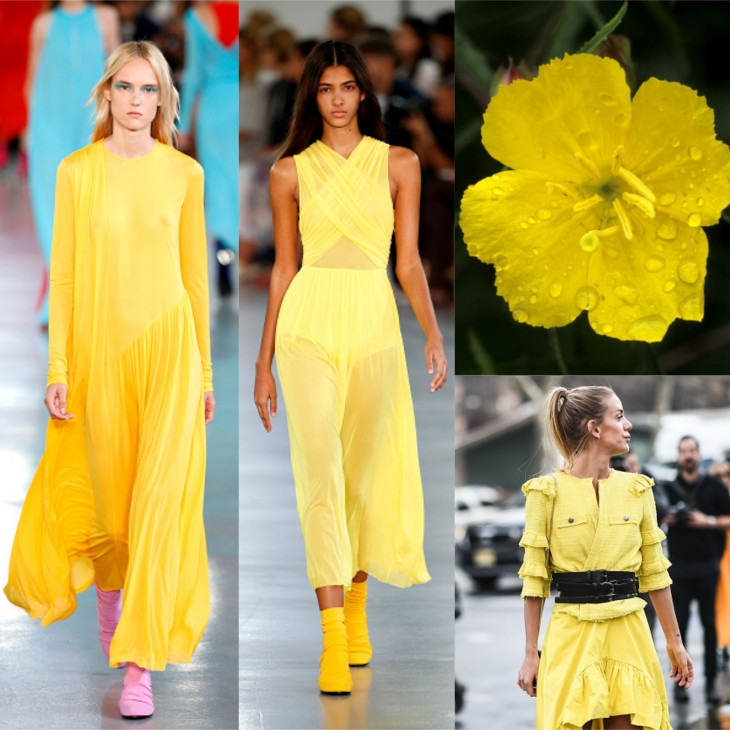 Желтая примула: как носить и с чем сочетать самый яркий цвет сезона