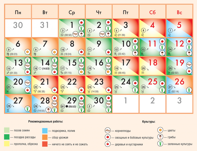 Лунный календарь садовода и огородника на июнь 2022 года