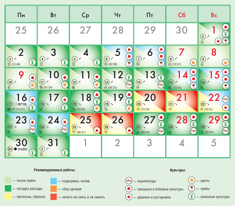 Лунный календарь садовода и огородника на май 2022 года
