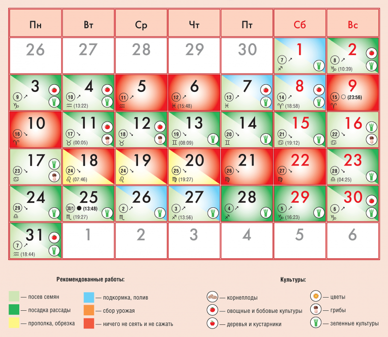 Лунный календарь садовода и огородника на октябрь 2022 года