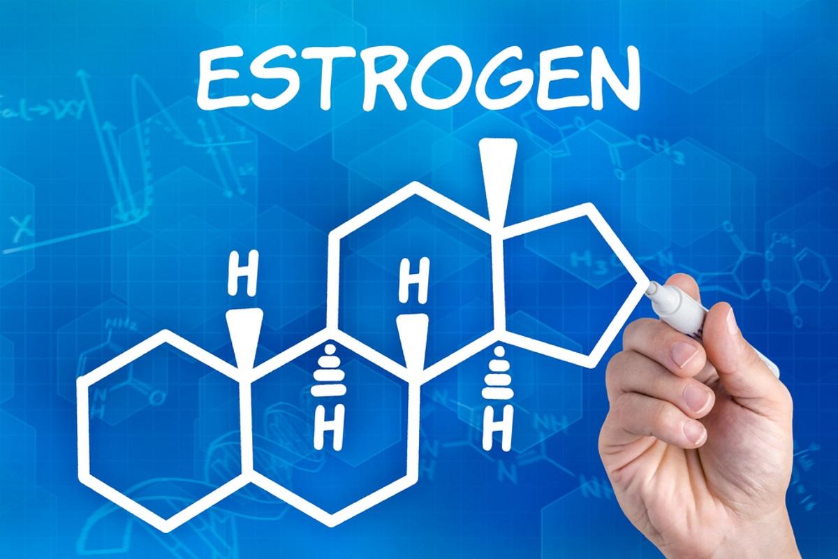 17756 Как здоровье женщины зависит от эстрогена